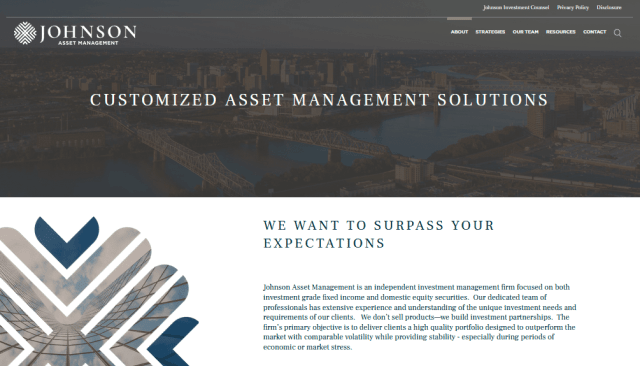 Screenshot of Johnson Asset Management's website